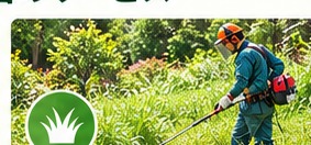 草刈り・除草作業イメージ